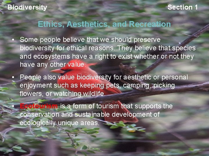 Biodiversity Section 1 Ethics, Aesthetics, and Recreation • Some people believe that we should