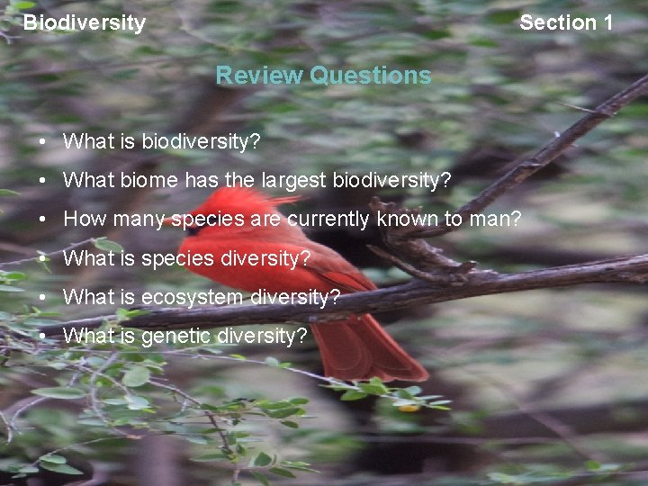 Biodiversity Section 1 Review Questions • What is biodiversity? • What biome has the