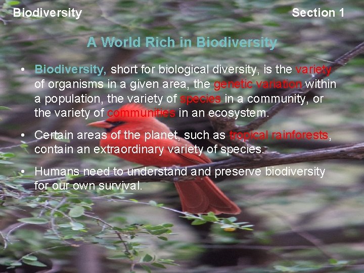 Biodiversity Section 1 A World Rich in Biodiversity • Biodiversity, short for biological diversity,