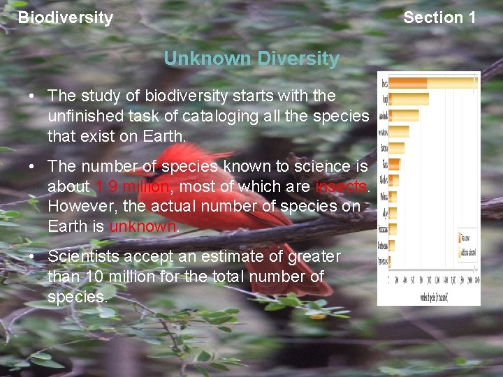 Biodiversity Section 1 Unknown Diversity • The study of biodiversity starts with the unfinished