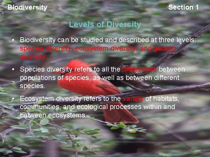 Biodiversity Section 1 Levels of Diversity • Biodiversity can be studied and described at