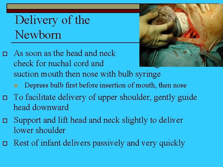 Delivery of the Newborn o As soon as the head and neck emerges, check
