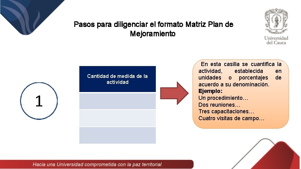 Pasos para diligenciar el formato Matriz Plan de Mejoramiento Cantidad de medida de la