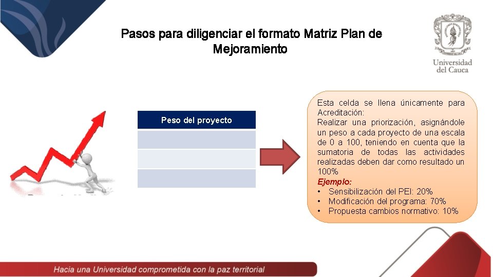 Pasos para diligenciar el formato Matriz Plan de Mejoramiento Peso del proyecto Esta celda