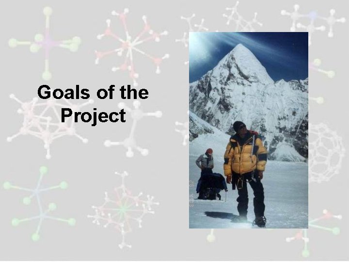 Goals of the Project 