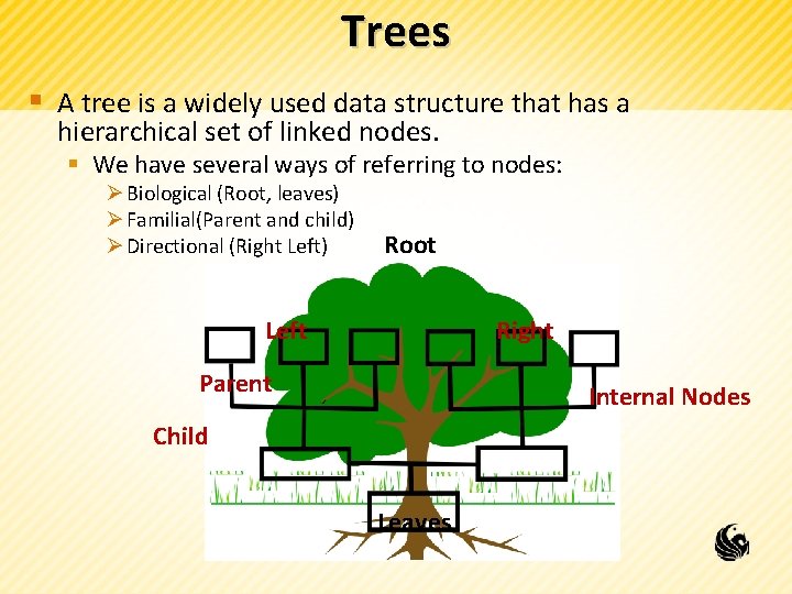 Trees § A tree is a widely used data structure that has a hierarchical