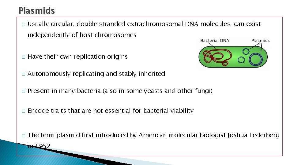 Plasmids � Usually circular, double stranded extrachromosomal DNA molecules, can exist independently of host