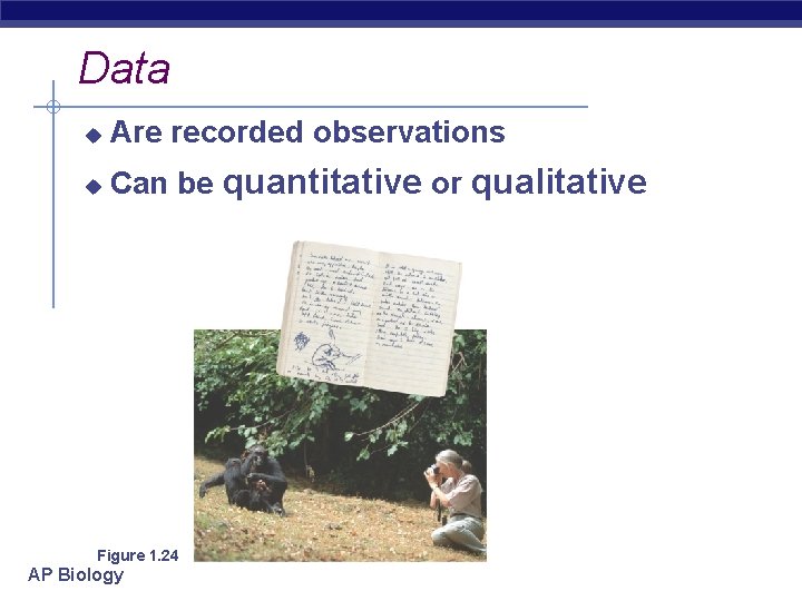 Data u Are recorded observations u Can be quantitative or qualitative Figure 1. 24