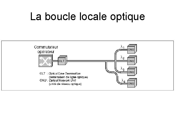 La boucle locale optique 