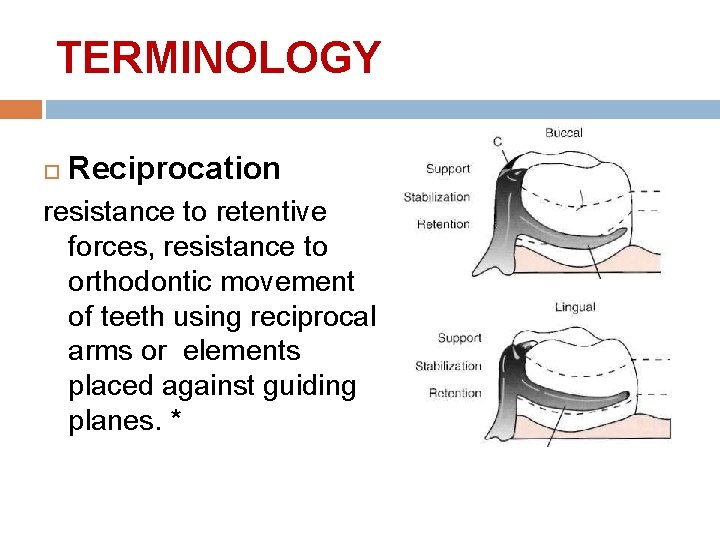 TERMINOLOGY Reciprocation resistance to retentive forces, resistance to orthodontic movement of teeth using reciprocal