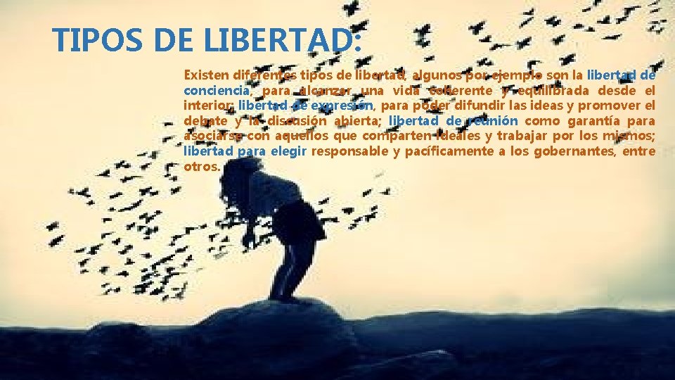 TIPOS DE LIBERTAD: Existen diferentes tipos de libertad, algunos por ejemplo son la libertad