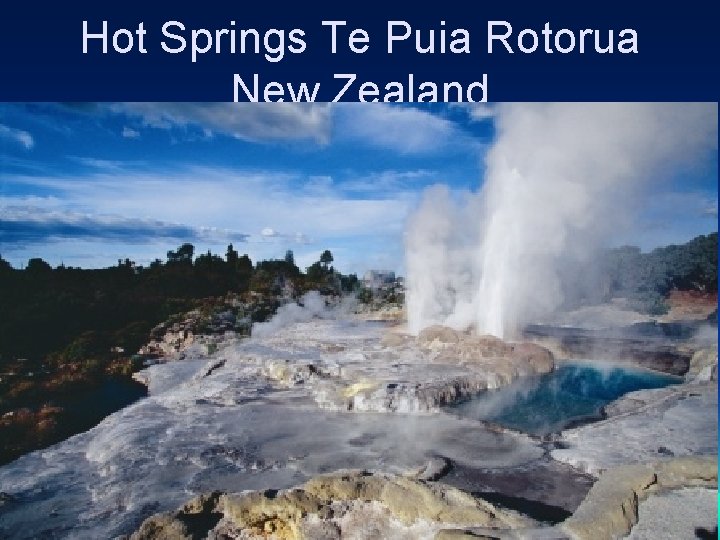Hot Springs Te Puia Rotorua New Zealand 