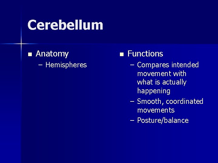 Cerebellum n Anatomy – Hemispheres n Functions – Compares intended movement with what is