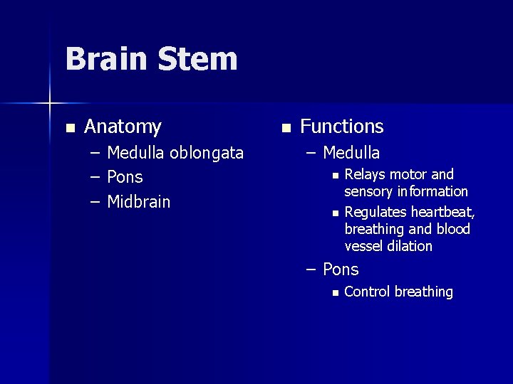 Brain Stem n Anatomy – – – Medulla oblongata Pons Midbrain n Functions –
