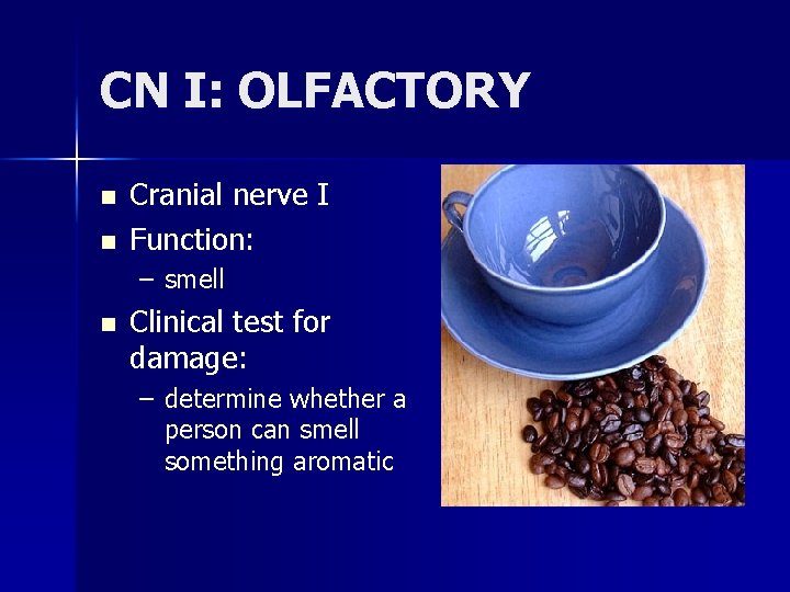 CN I: OLFACTORY n n Cranial nerve I Function: – smell n Clinical test