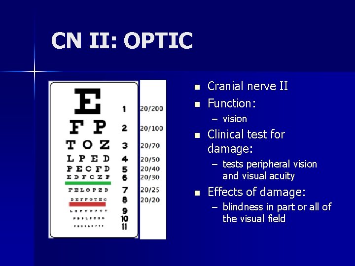 CN II: OPTIC n n Cranial nerve II Function: – vision n Clinical test