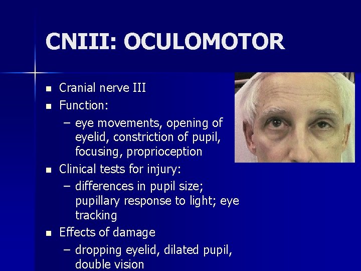 CNIII: OCULOMOTOR n n Cranial nerve III Function: – eye movements, opening of eyelid,