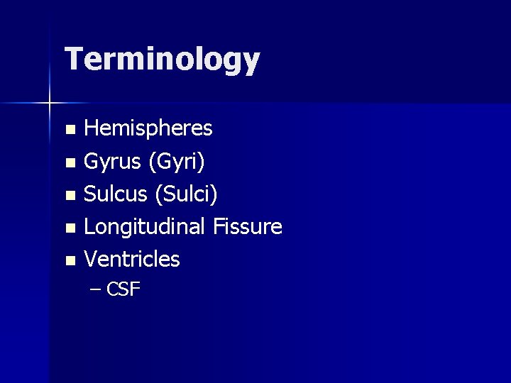 Terminology Hemispheres n Gyrus (Gyri) n Sulcus (Sulci) n Longitudinal Fissure n Ventricles n