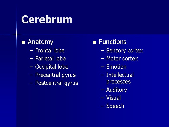 Cerebrum n Anatomy – – – Frontal lobe Parietal lobe Occipital lobe Precentral gyrus