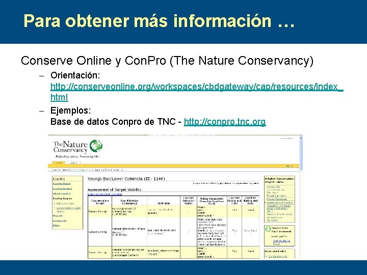 Para obtener más información … Conserve Online y Con. Pro (The Nature Conservancy) –