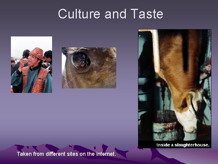 Culture and Taste Taken from different sites on the internet. 