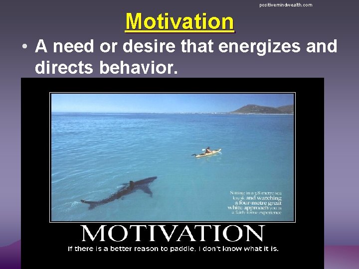 positivemindwealth. com Motivation • A need or desire that energizes and directs behavior. 