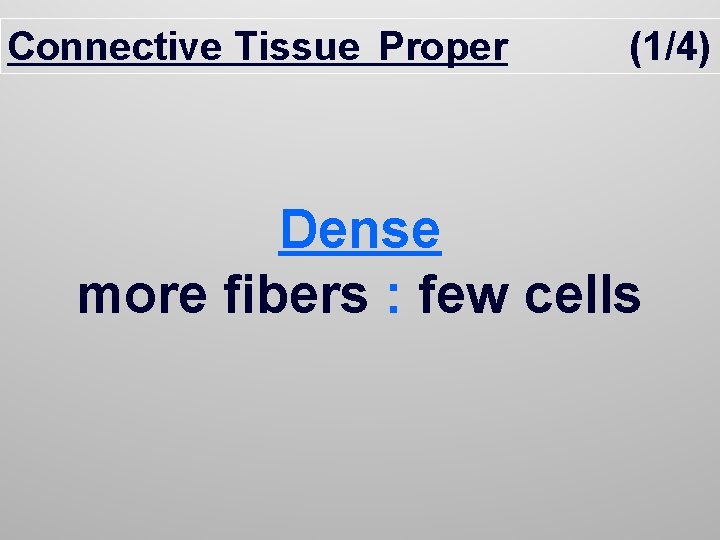 Connective Tissue Proper (1/4) Dense more fibers : few cells 