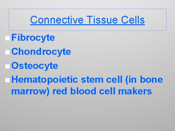Connective Tissue Cells n Fibrocyte n Chondrocyte n Osteocyte n Hematopoietic stem cell (in