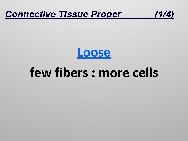 Connective Tissue Proper (1/4) Loose few fibers : more cells 