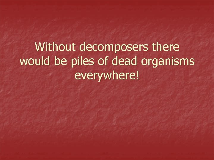 Without decomposers there would be piles of dead organisms everywhere! 