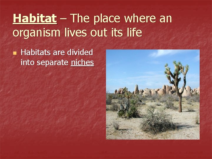 Habitat – The place where an organism lives out its life n Habitats are