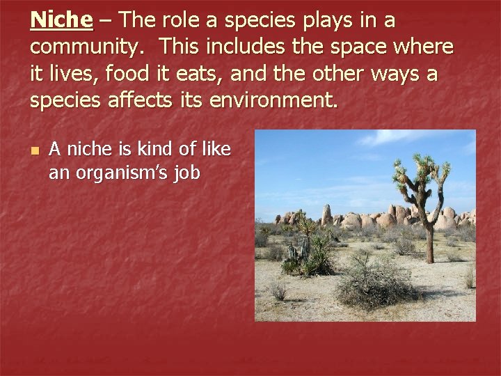 Niche – The role a species plays in a community. This includes the space