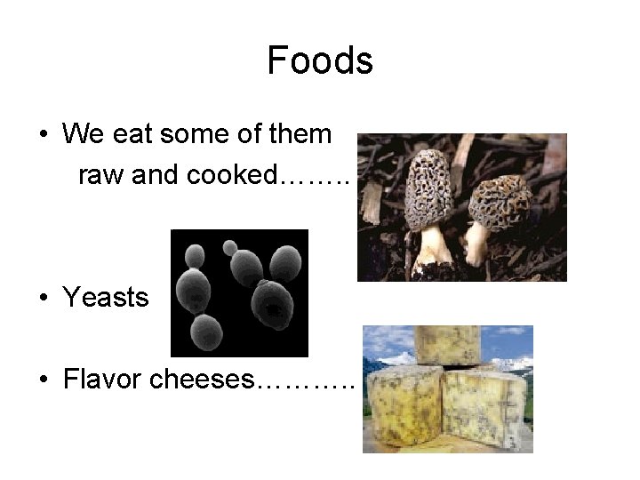 Foods • We eat some of them raw and cooked……. . • Yeasts •