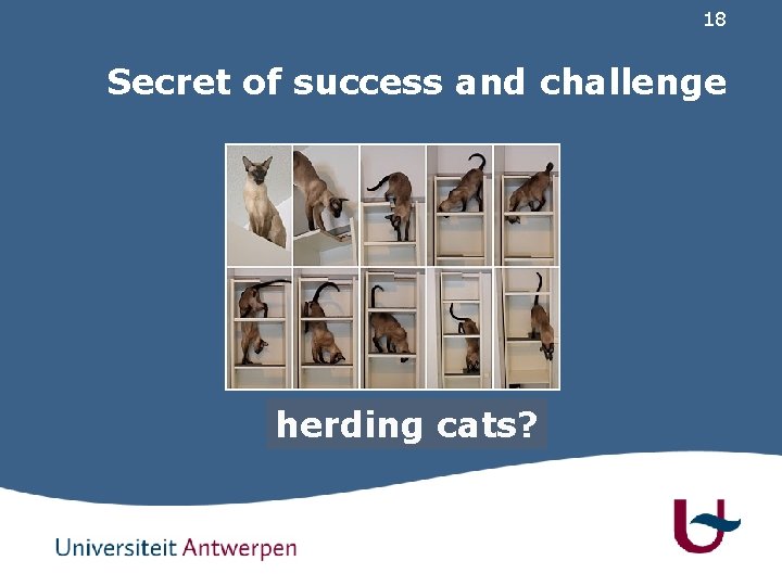 18 Secret of success and challenge cooperation herding cats? 