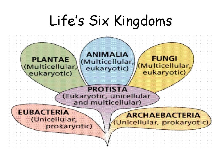 Life’s Six Kingdoms 