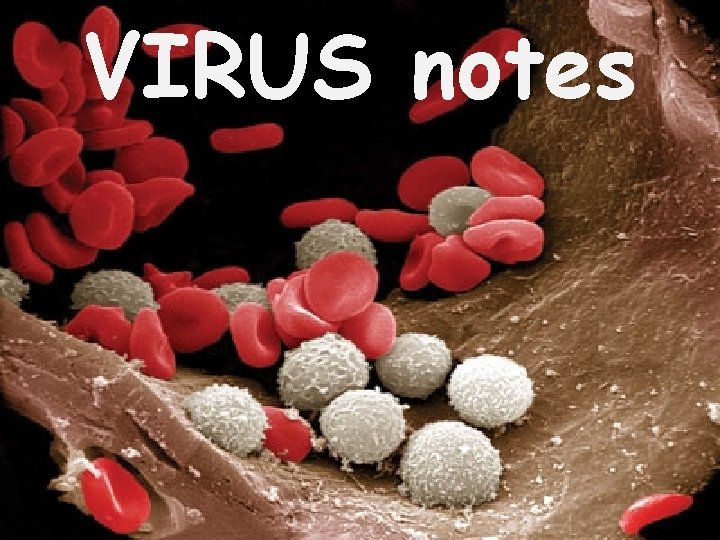 VIRUS notes 