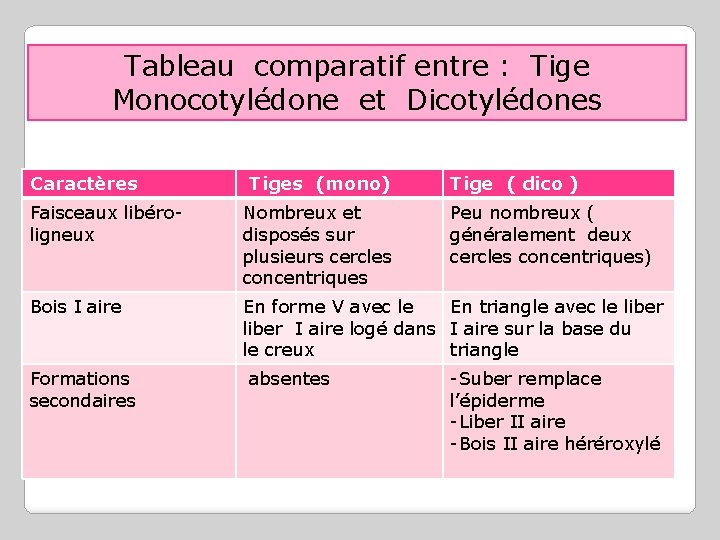 Tableau comparatif entre : Tige Monocotylédone et Dicotylédones Caractères Tiges (mono) Tige ( dico