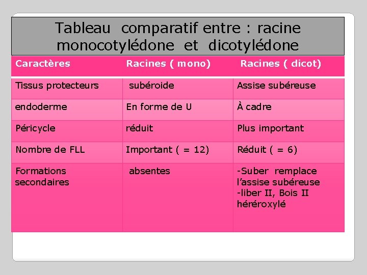 Tableau comparatif entre : racine monocotylédone et dicotylédone Caractères Tissus protecteurs Racines ( mono)
