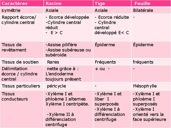 Caractères Racine Tige symétrie Axiale Rapport écorce/ cylindre central - Ecorce développée -Cylindre central