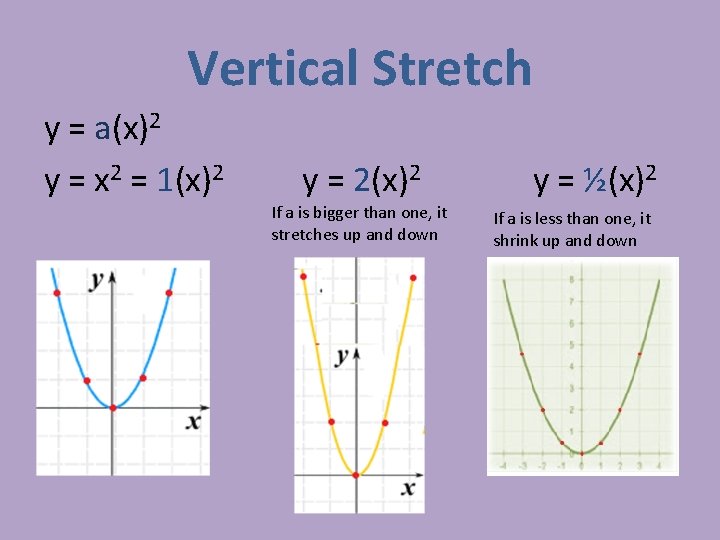 Vertical Stretch y = a(x)2 y = x 2 = 1(x)2 y = 2(x)2