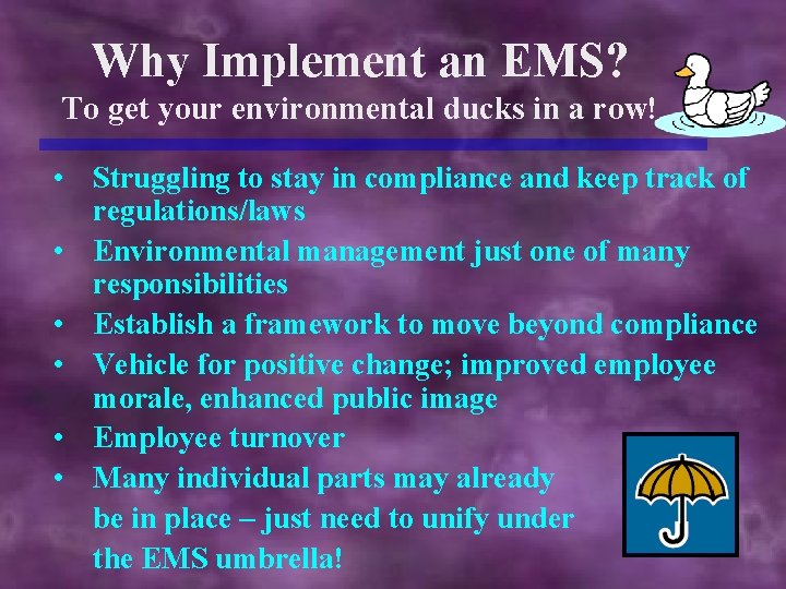 Benefits of EMS Examples and Case Studies Why