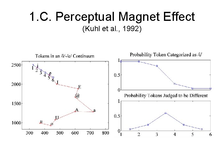 1. C. Perceptual Magnet Effect (Kuhl et al. , 1992) 