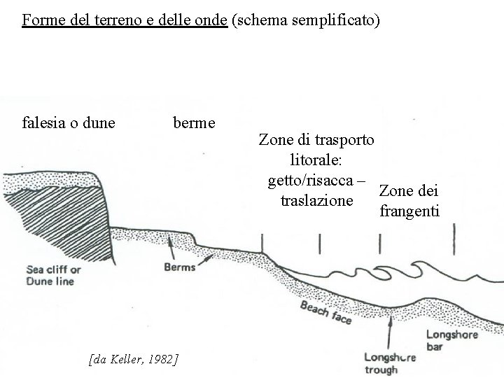 Forme del terreno e delle onde (schema semplificato) falesia o dune berme [da Keller,