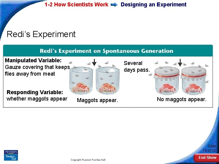 1 -2 How Scientists Work Designing an Experiment Redi’s Experiment Manipulated Variable: Gauze covering