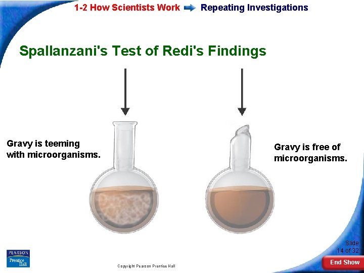 1 -2 How Scientists Work Repeating Investigations Spallanzani's Test of Redi's Findings Gravy is