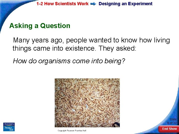 1 -2 How Scientists Work Designing an Experiment Asking a Question Many years ago,
