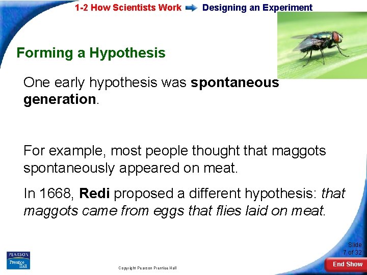 1 -2 How Scientists Work Designing an Experiment Forming a Hypothesis One early hypothesis