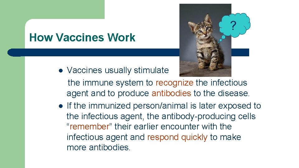 How Vaccines Work l l ? Vaccines usually stimulate the immune system to recognize