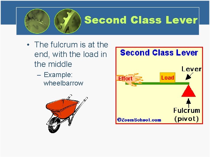 Second Class Lever • The fulcrum is at the end, with the load in