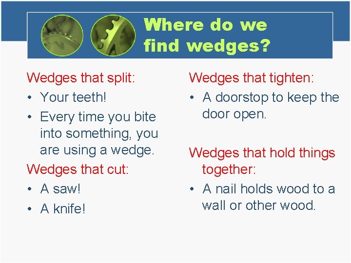 Where do we find wedges? Wedges that split: • Your teeth! • Every time